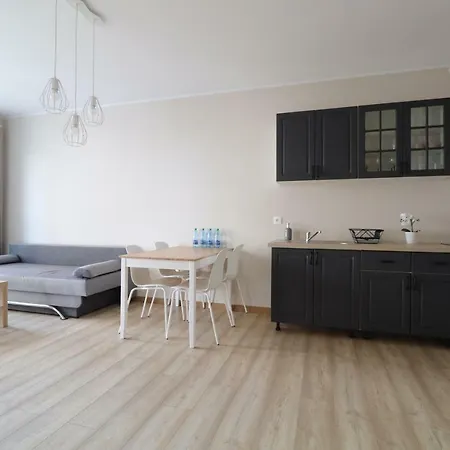 Spectrum Grey Apartment